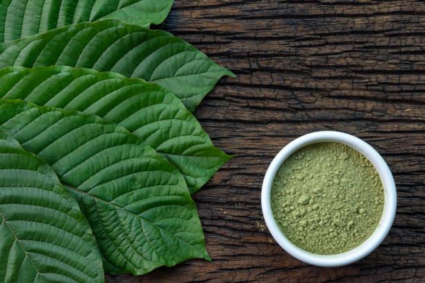 Top Choices for Borneo Kratom Strains: Where to Buy and What to Know